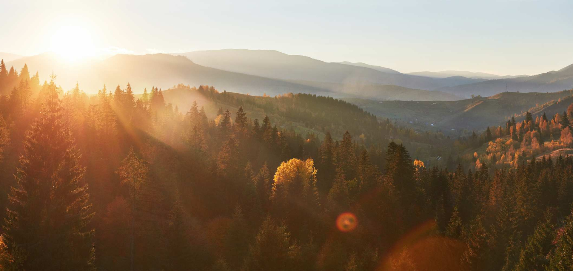 morning-fog-creeps-with-scraps-autumn-mountain-forest-covered-gold-leaves (1).jpg morning-fog-creeps-with-scraps-autumn-mountain-forest-covered-gold-leaves (1).jpg